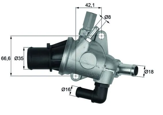 Thermostat, coolant