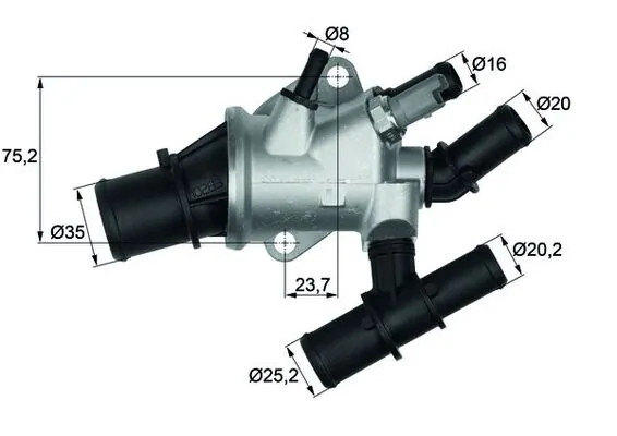 Thermostat, coolant