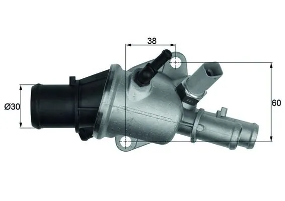 Thermostat, coolant