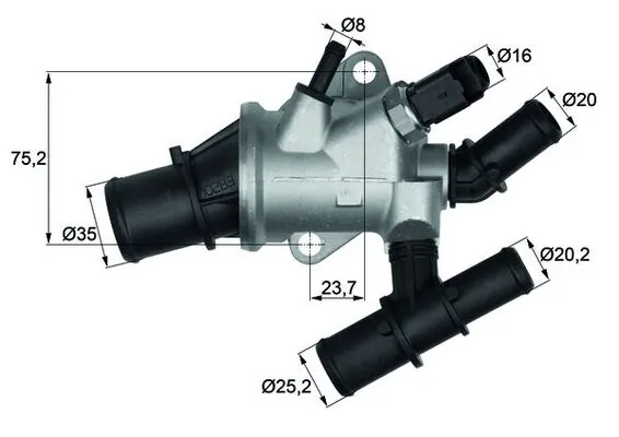 Thermostat, coolant