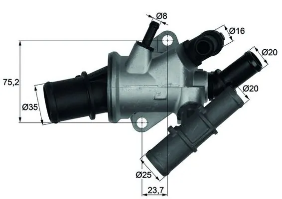 Thermostat, coolant