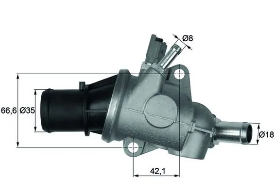 Thermostat, coolant