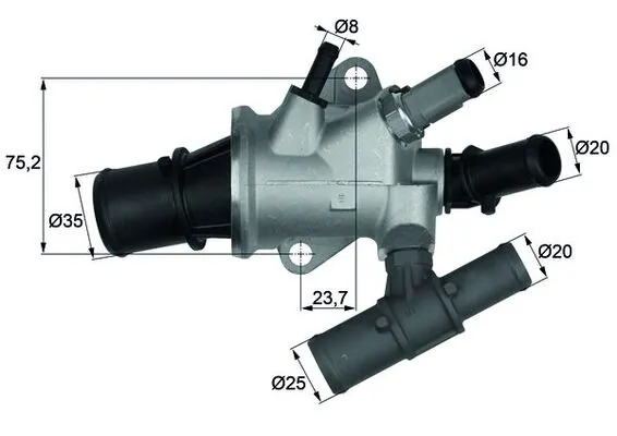 Thermostat, coolant