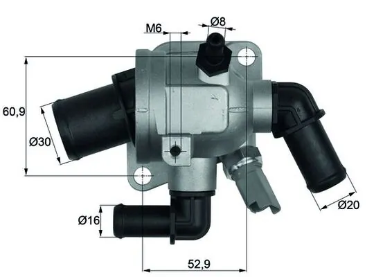 Thermostat, coolant