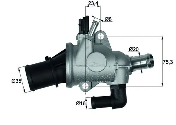 Thermostat, coolant