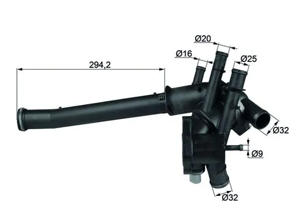 Thermostat, coolant