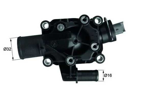 Thermostat, coolant