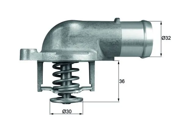 Thermostat, coolant