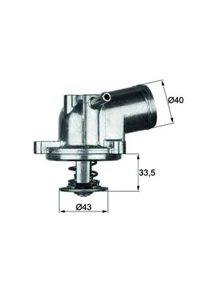 Thermostat, coolant