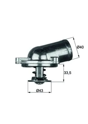 Thermostat, coolant