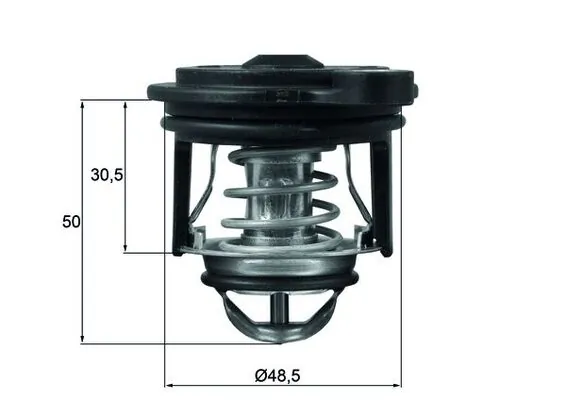 Thermostat, coolant