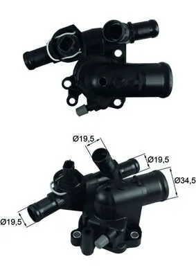Thermostat, coolant