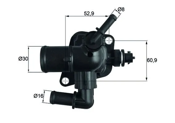 Thermostat, coolant