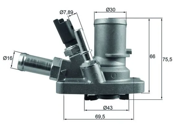 Thermostat, coolant