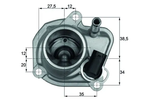 Thermostat, coolant