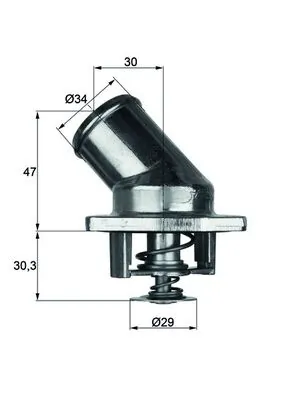 Thermostat, coolant