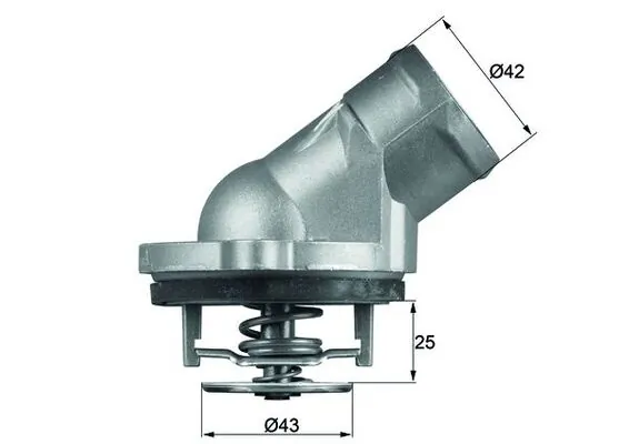 Thermostat, coolant