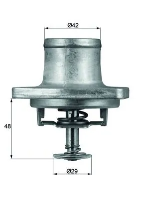 Thermostat, coolant