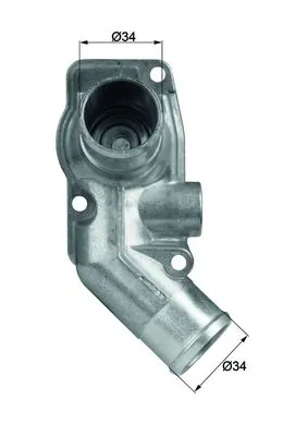 Thermostat, coolant