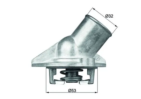 Thermostat, coolant