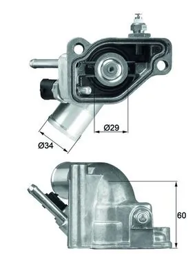 Thermostat, coolant