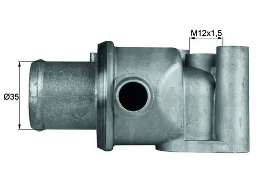 Thermostat, coolant