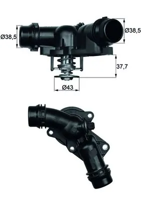Thermostat, coolant
