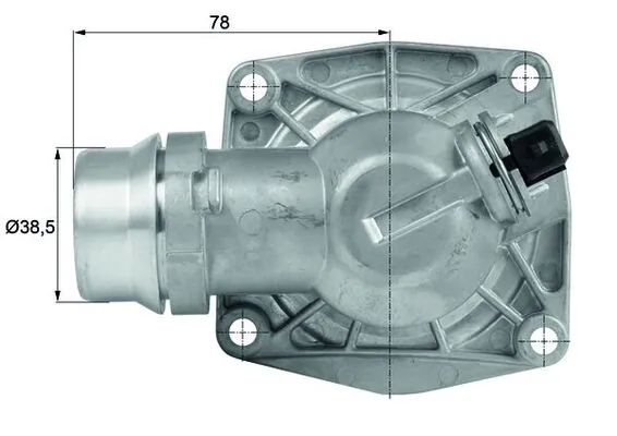 Thermostat, coolant