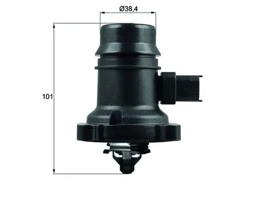 Thermostat, coolant