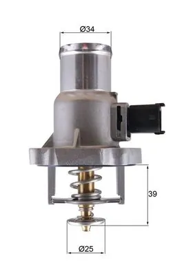 Thermostat, coolant