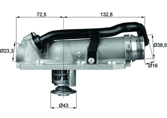 Thermostat, coolant