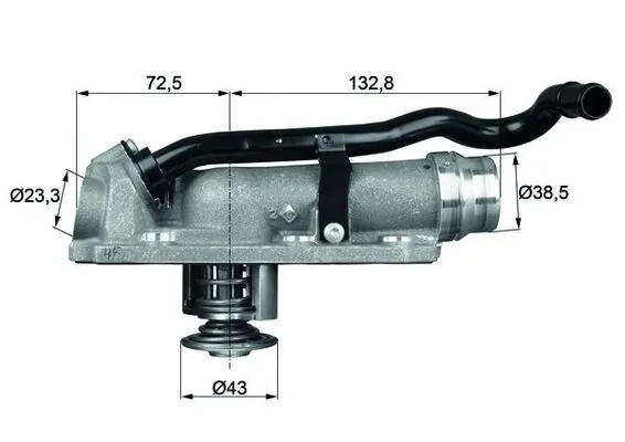 Thermostat, coolant
