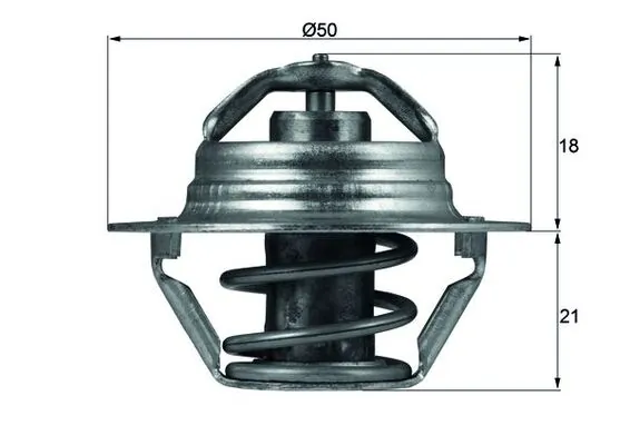 Thermostat, coolant