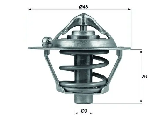 Thermostat, coolant