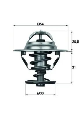 Thermostat, coolant