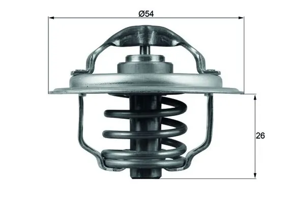 Thermostat, coolant