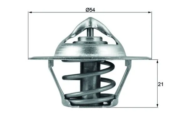 Thermostat, coolant