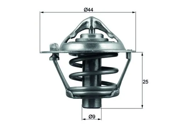 Thermostat, coolant