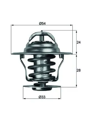 Thermostat, coolant