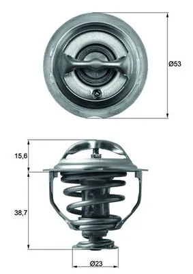 Thermostat, coolant