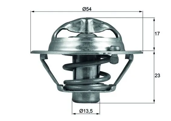 Thermostat, coolant