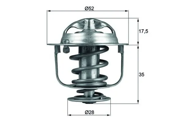 Thermostat, coolant
