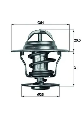 Thermostat, coolant