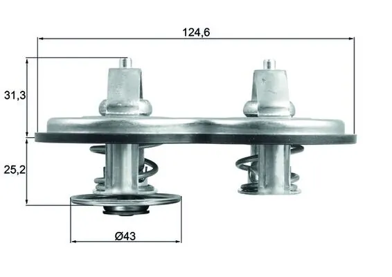 Thermostat, coolant