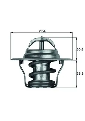 Thermostat, coolant