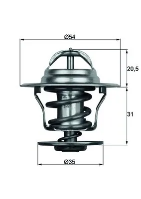 Thermostat, coolant