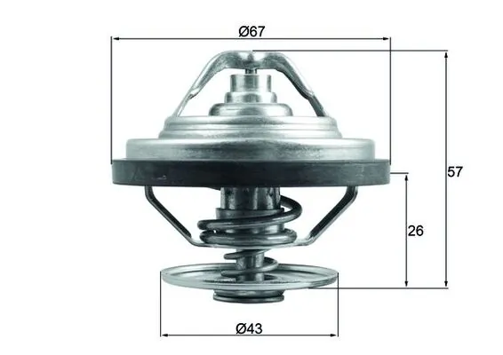 Thermostat, coolant
