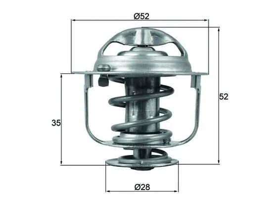 Thermostat, coolant