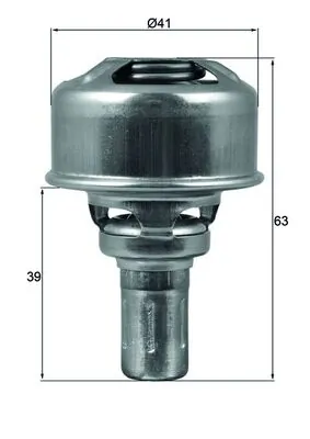 Thermostat, coolant