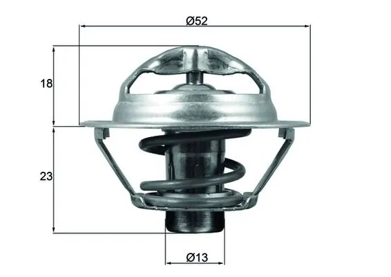 Thermostat, coolant